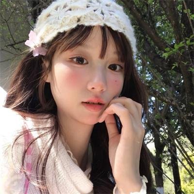 翱翔于天际的夜鹰